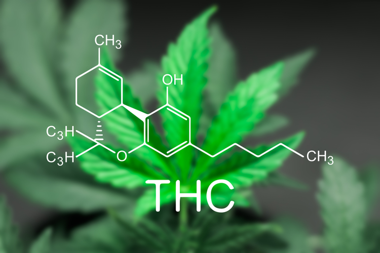 THC - Cannabis for pain relief